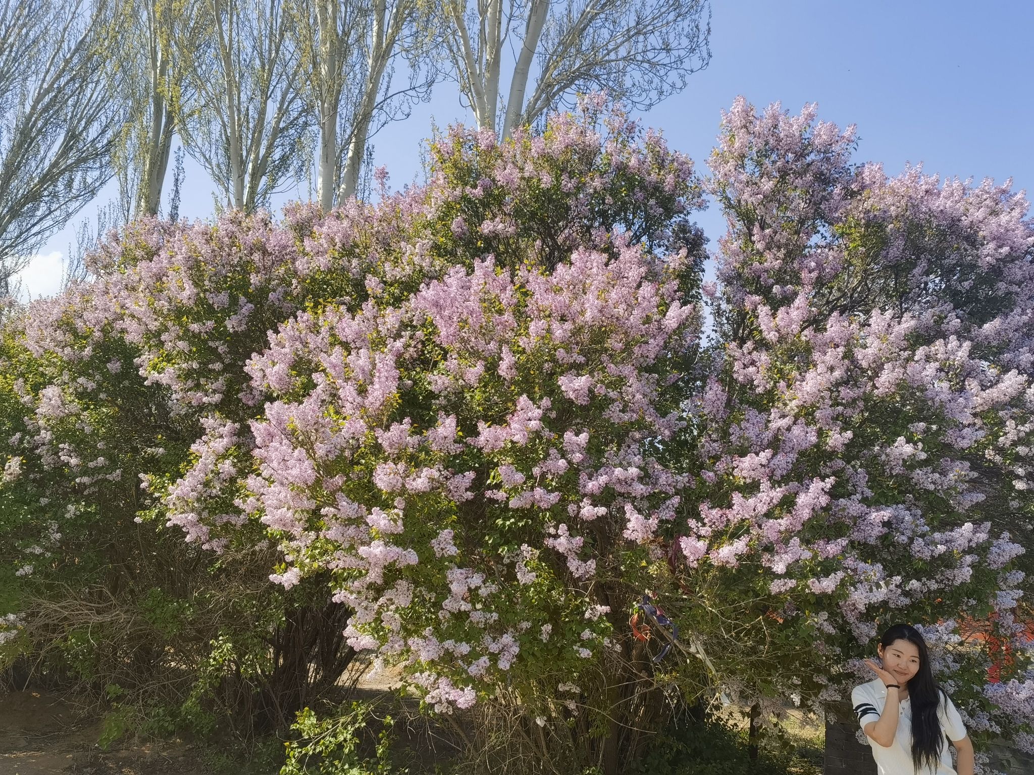 大草原旅行图片 1