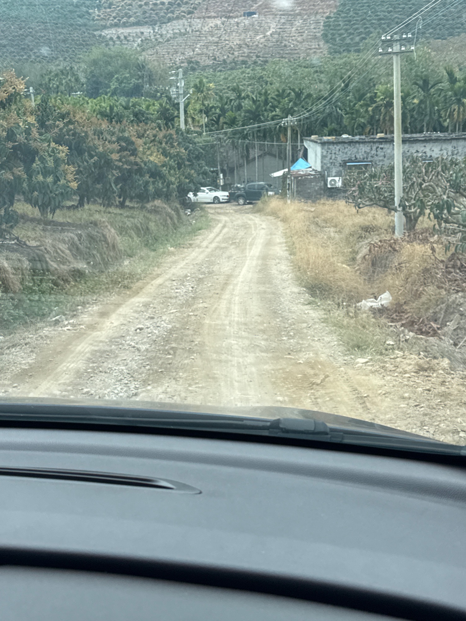 鸭哥瀑布旅行图片 1