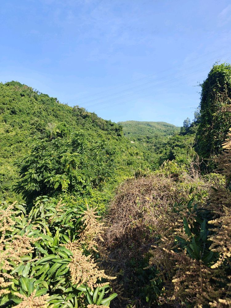 鸭哥瀑布旅行图片 2