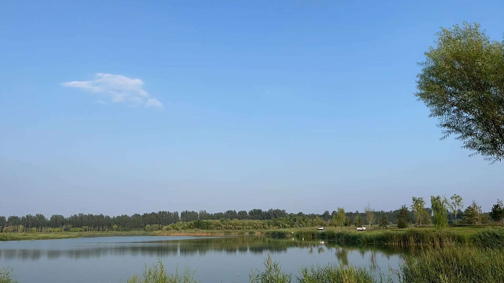 珍珠滩旅行图片 1