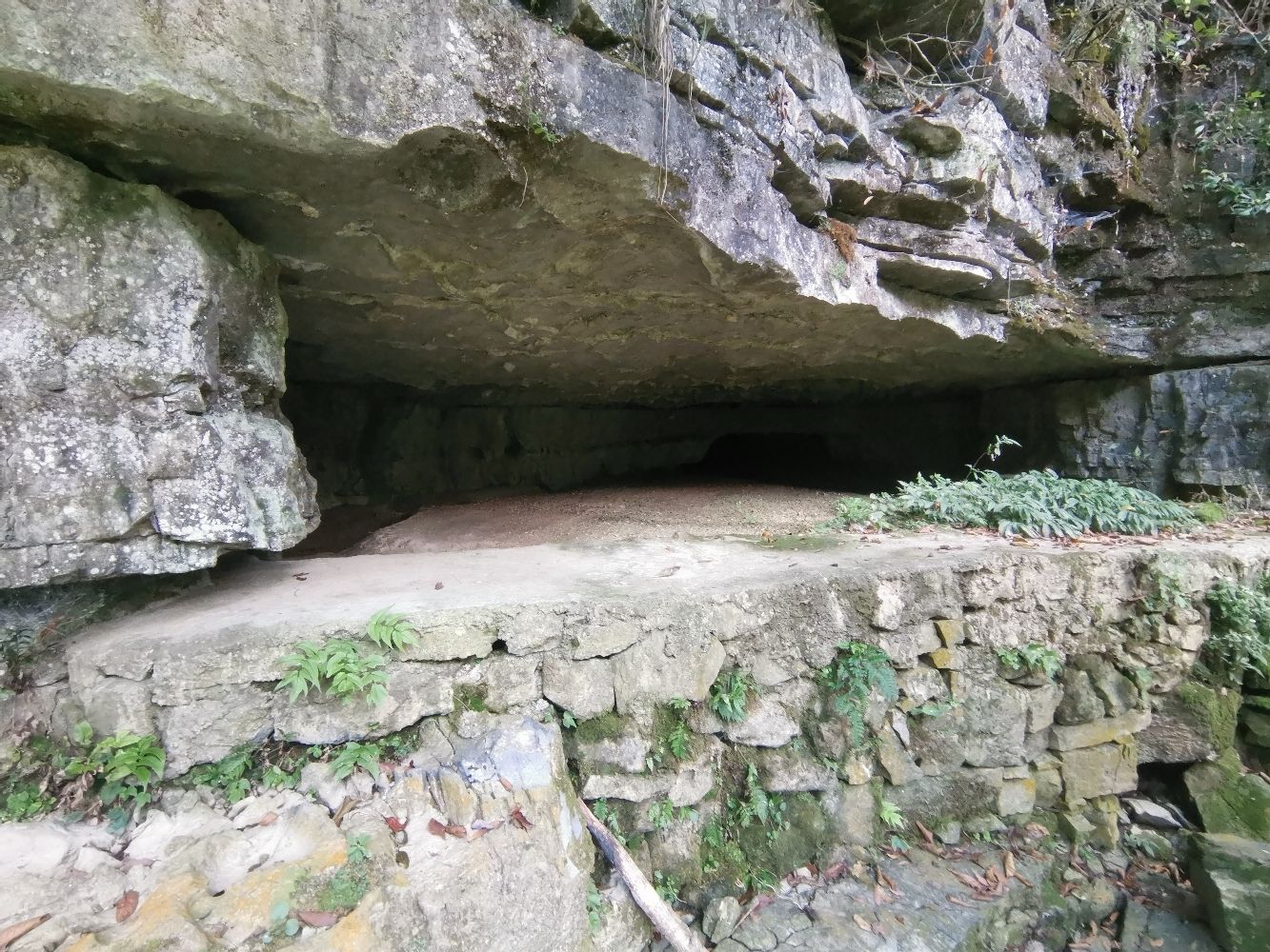 猴子冲水源发源地旅行图片 1