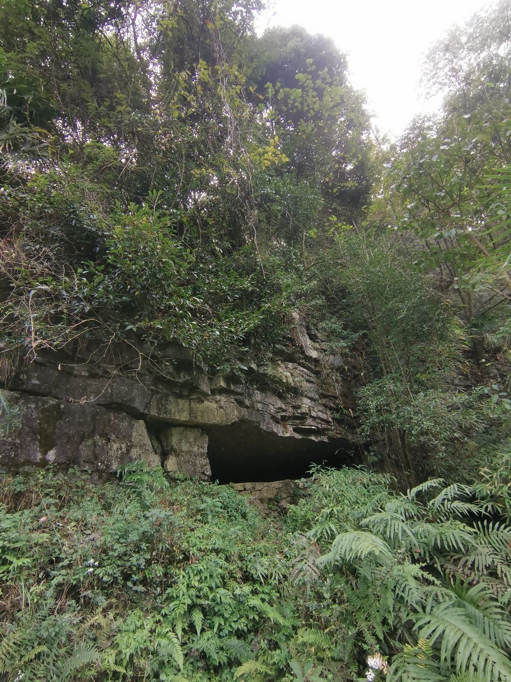 猴子冲水源发源地旅行图片 2