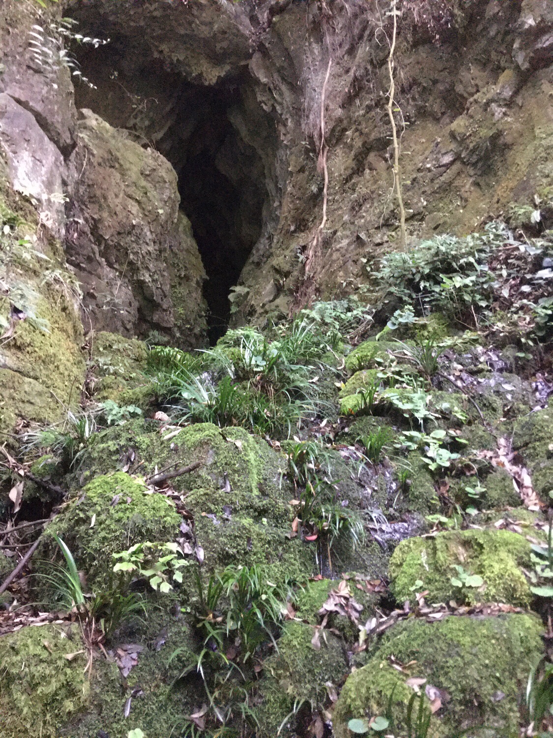 崔家岩洞旅行图片 2