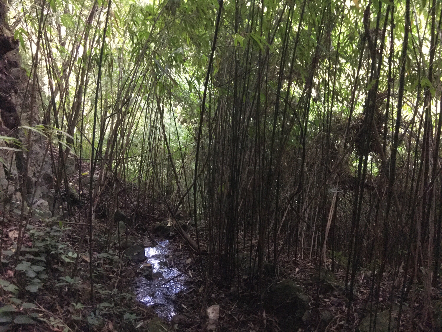 崔家岩洞旅行图片 1