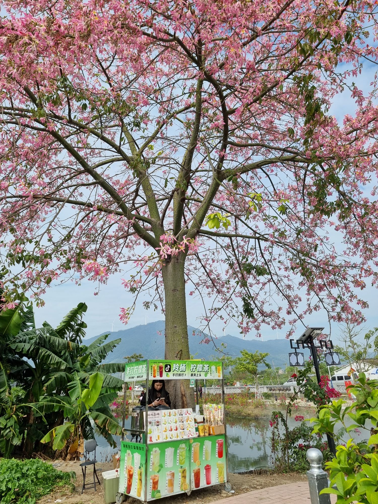 灵慧瑶池旅行图片 3