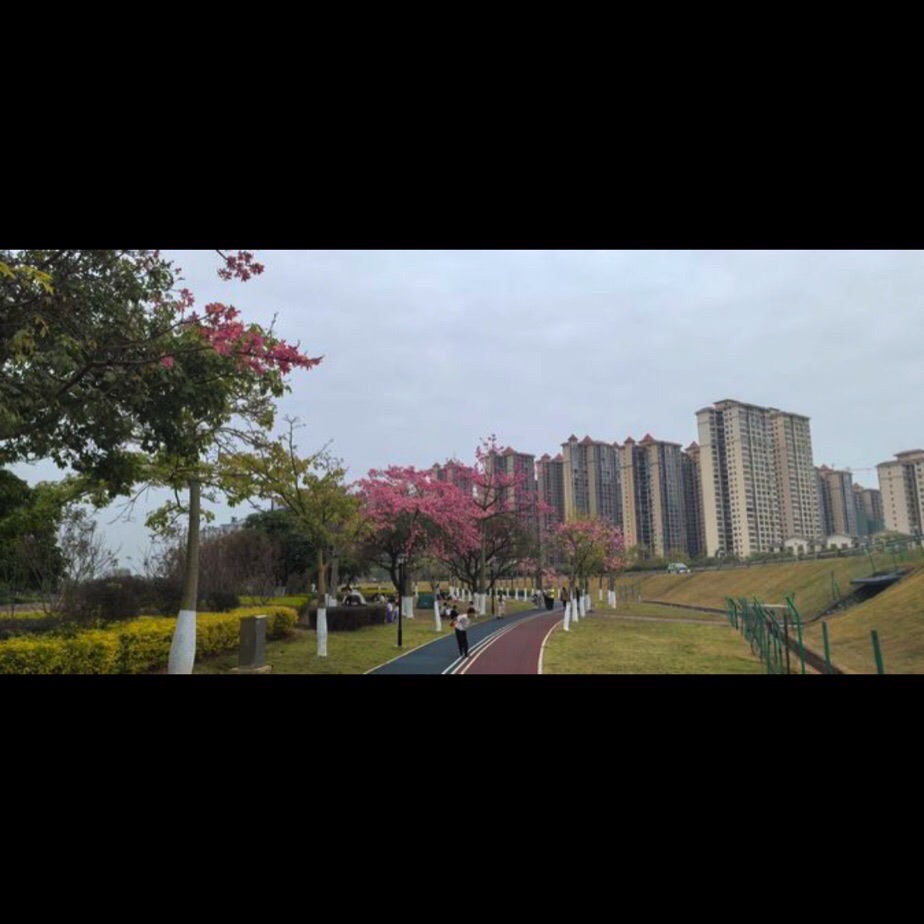 玻璃桥旅行图片 1