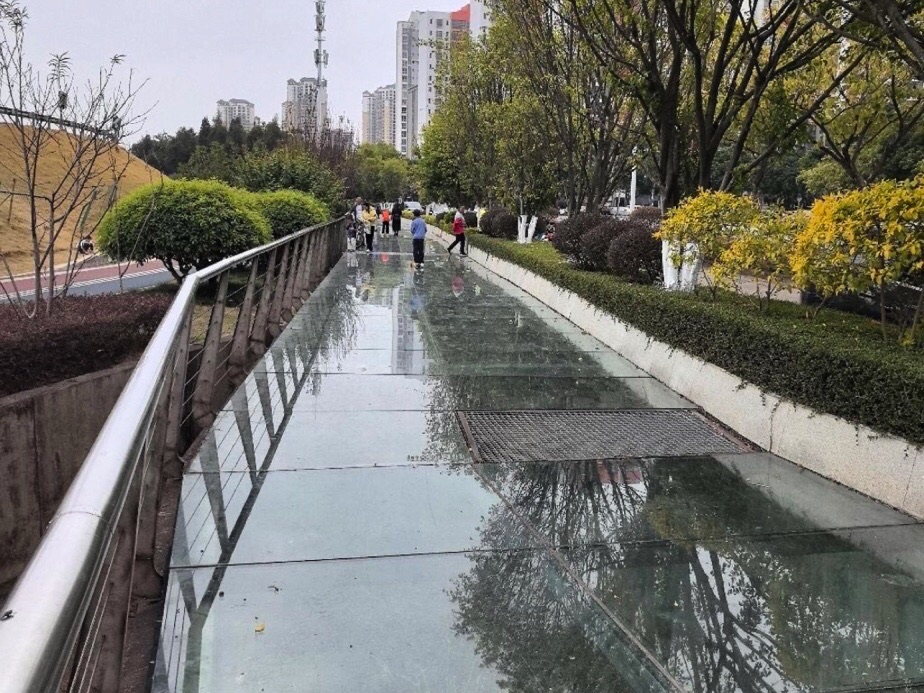 玻璃桥旅行图片 2