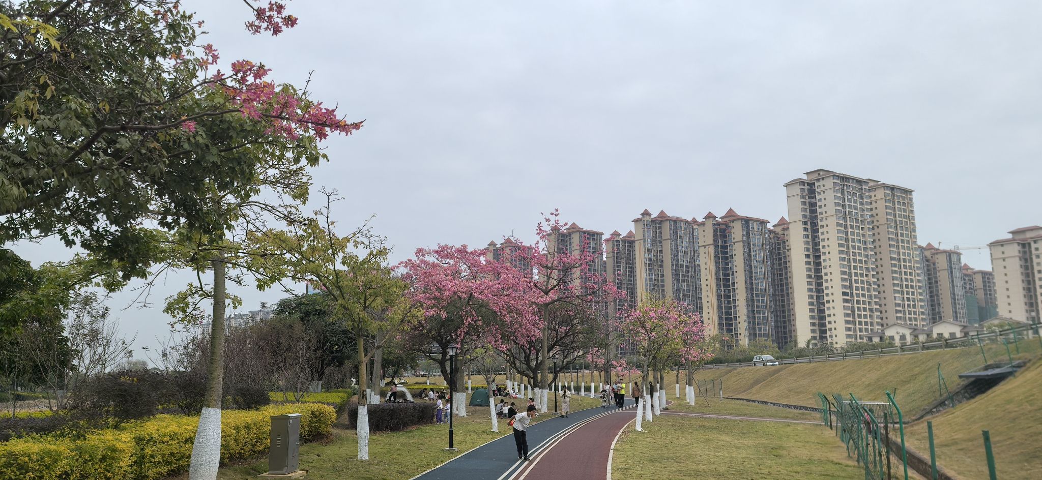 玻璃桥旅行图片 2