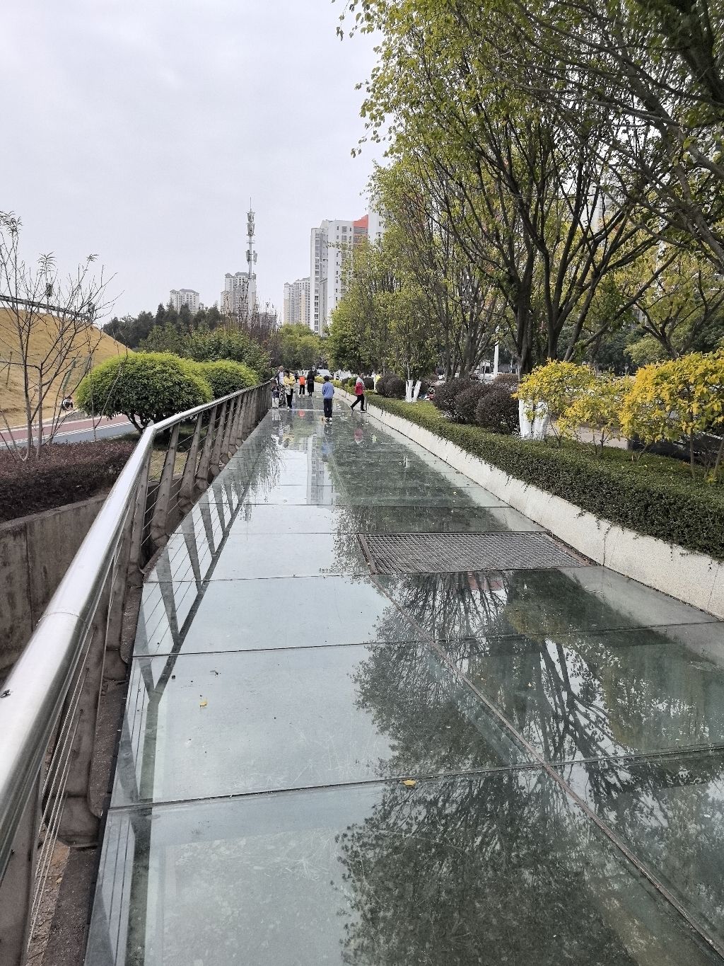 玻璃桥旅行图片 1