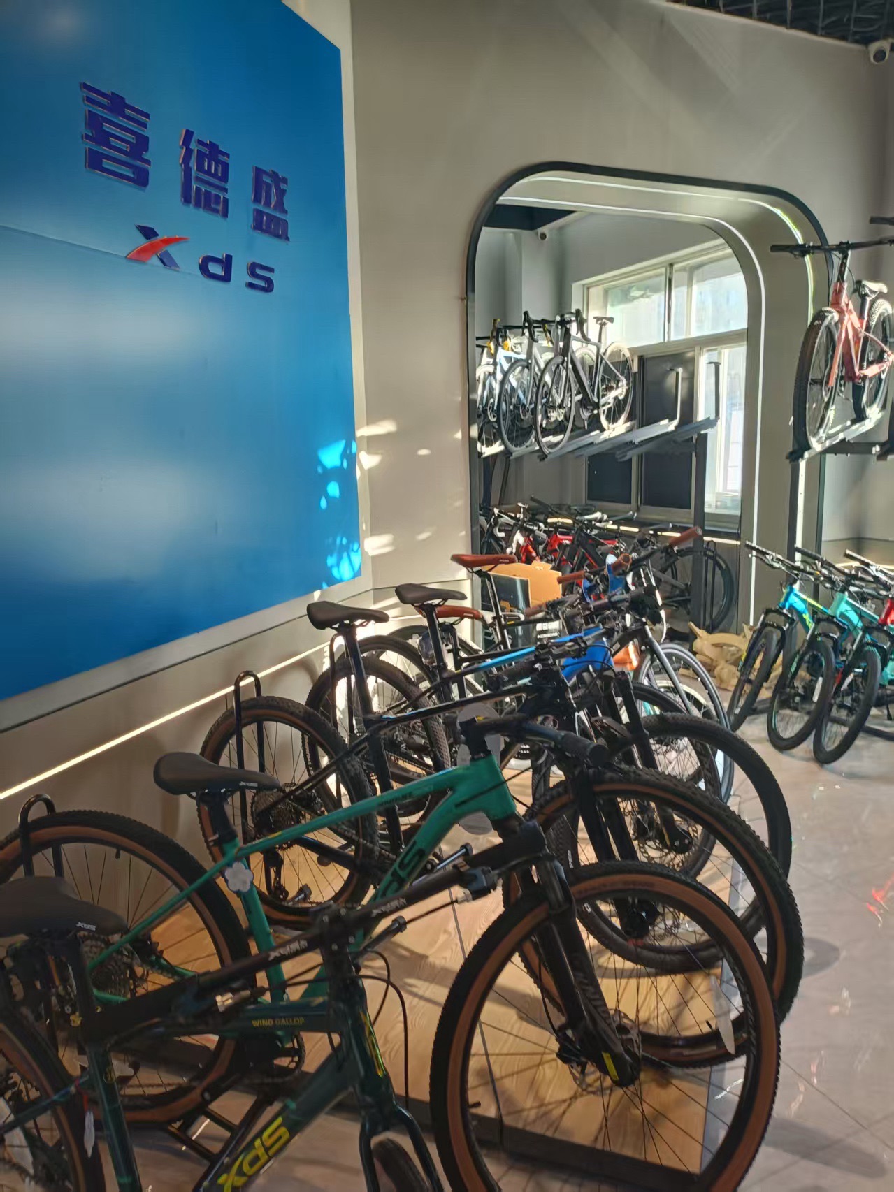速比特自行车(大庆旗舰店十区总店)