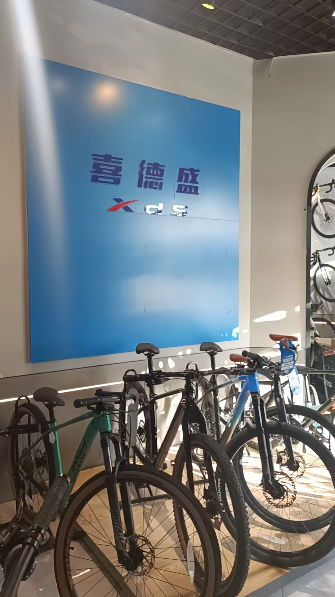 速比特自行车(大庆旗舰店十区总店)
