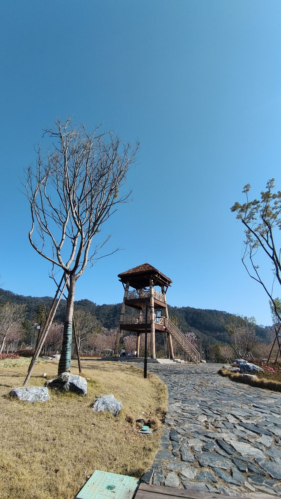 麒麟山翠屏山片区公园旅行图片 3