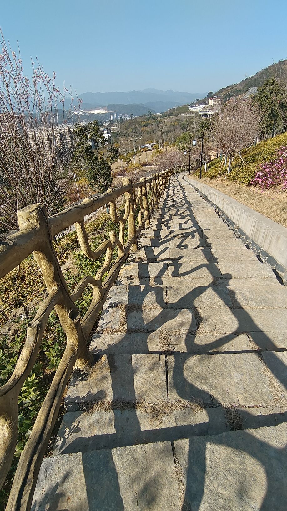 麒麟山翠屏山片区公园旅行图片 2