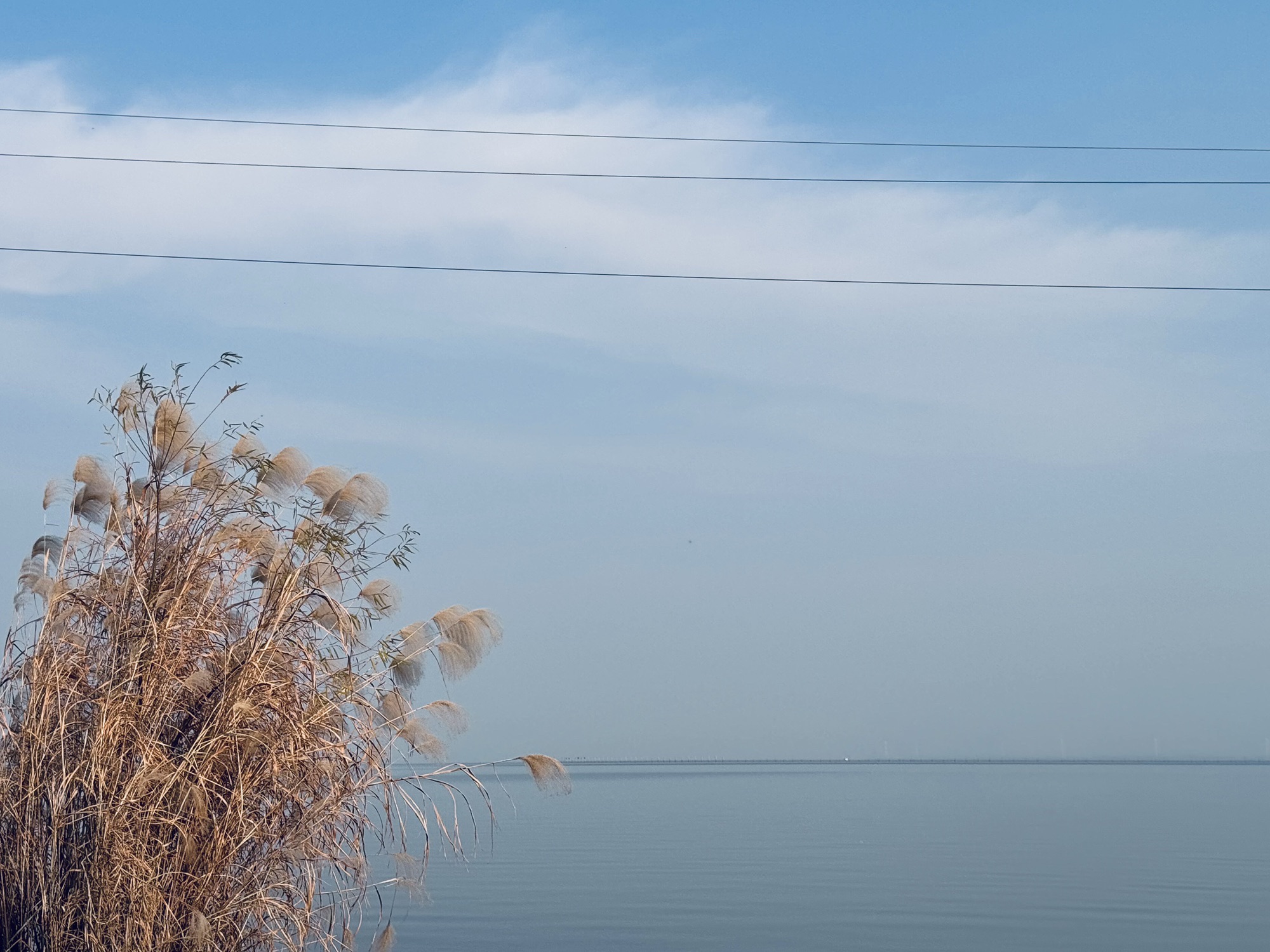 天长的海旅行图片 3