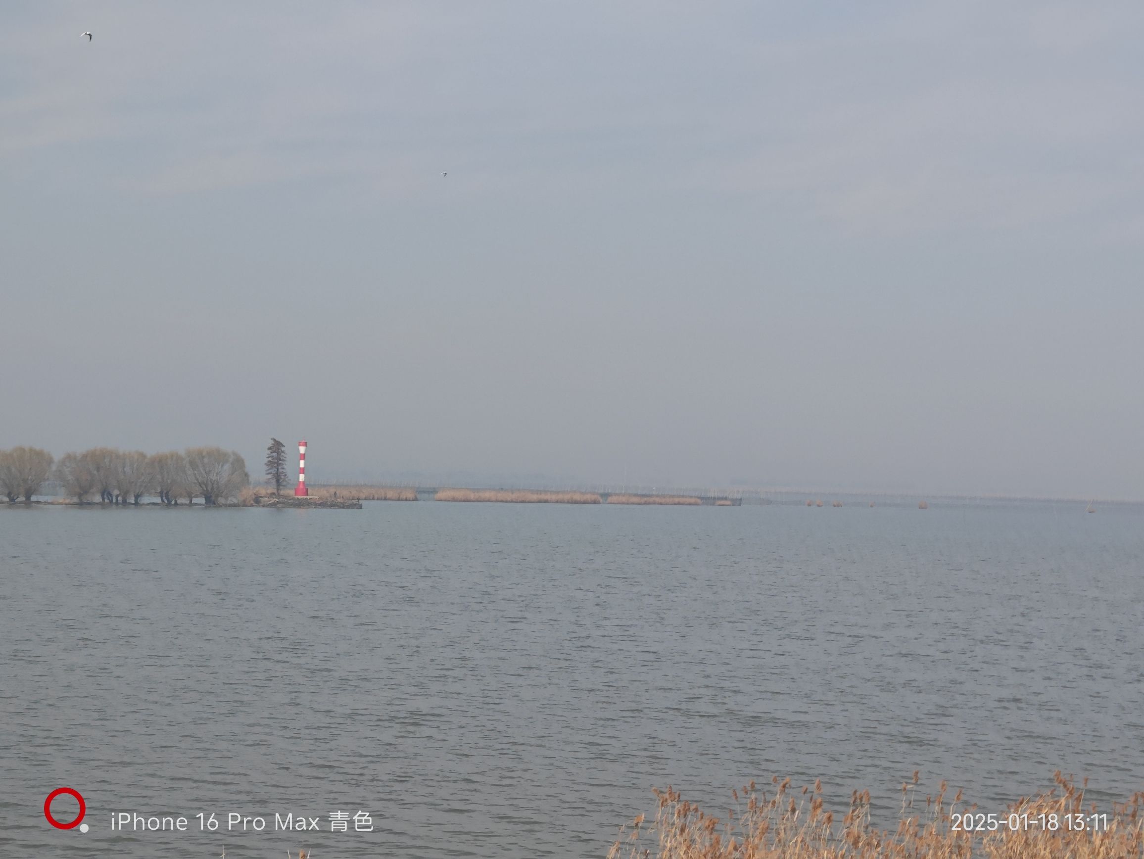 天长的海旅行图片 2