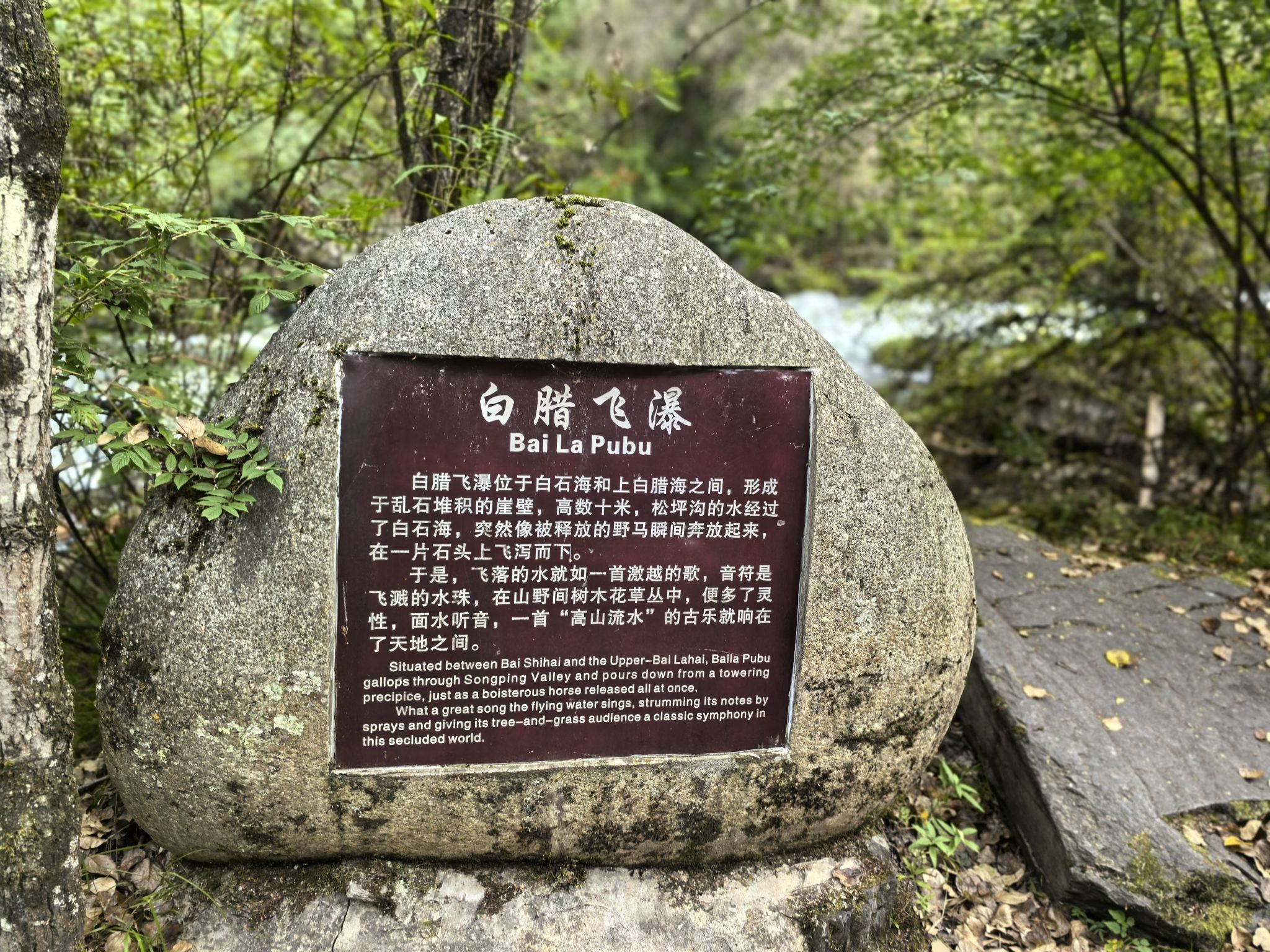 白蜡飞瀑旅行图片 1