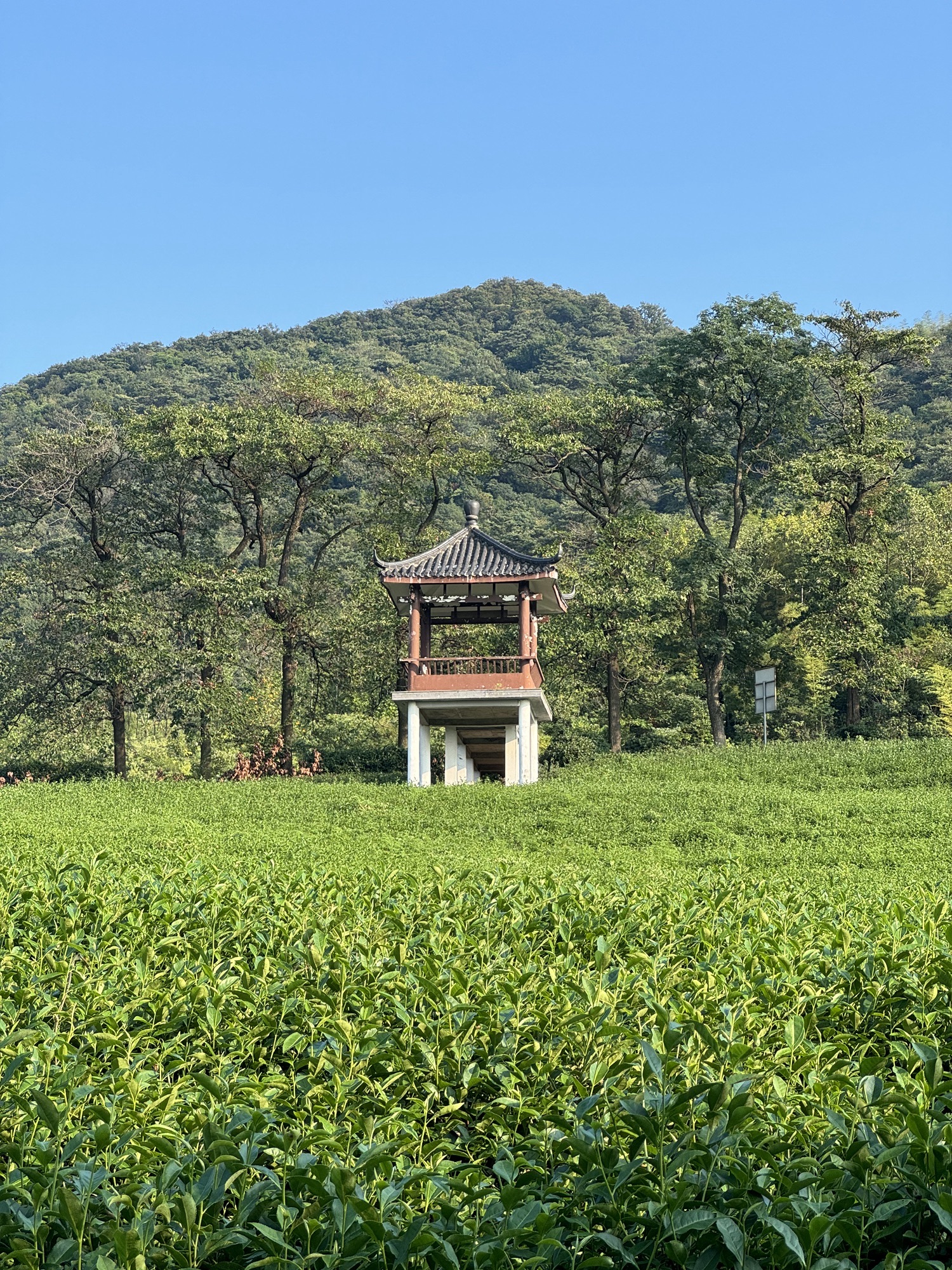 观景平台旅行图片 2