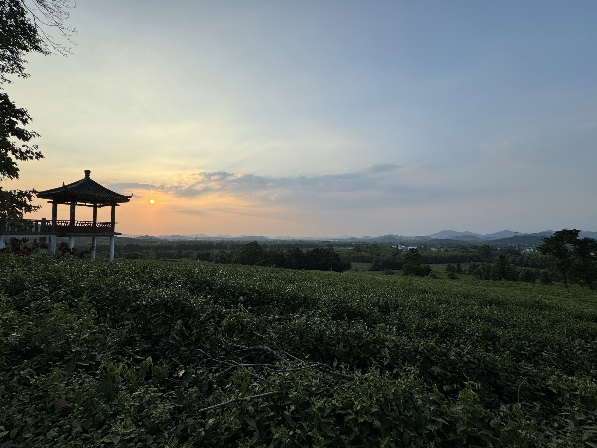 观景平台旅行图片 2