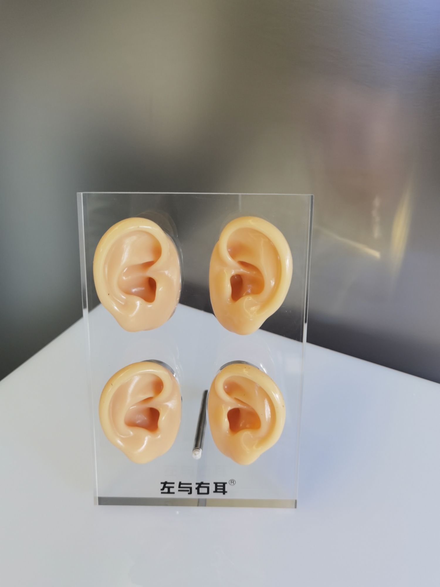左与右耳助听器·呼吸机(大同平城店)