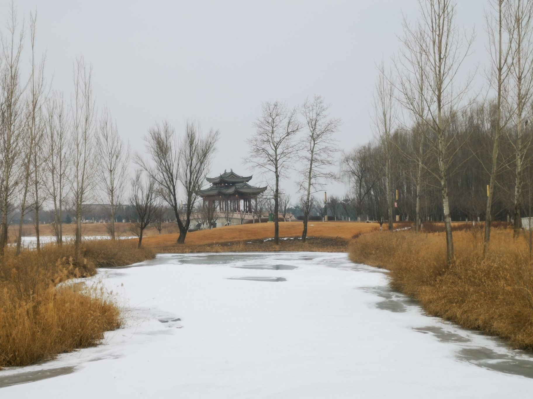 漳泽湖湿地公园