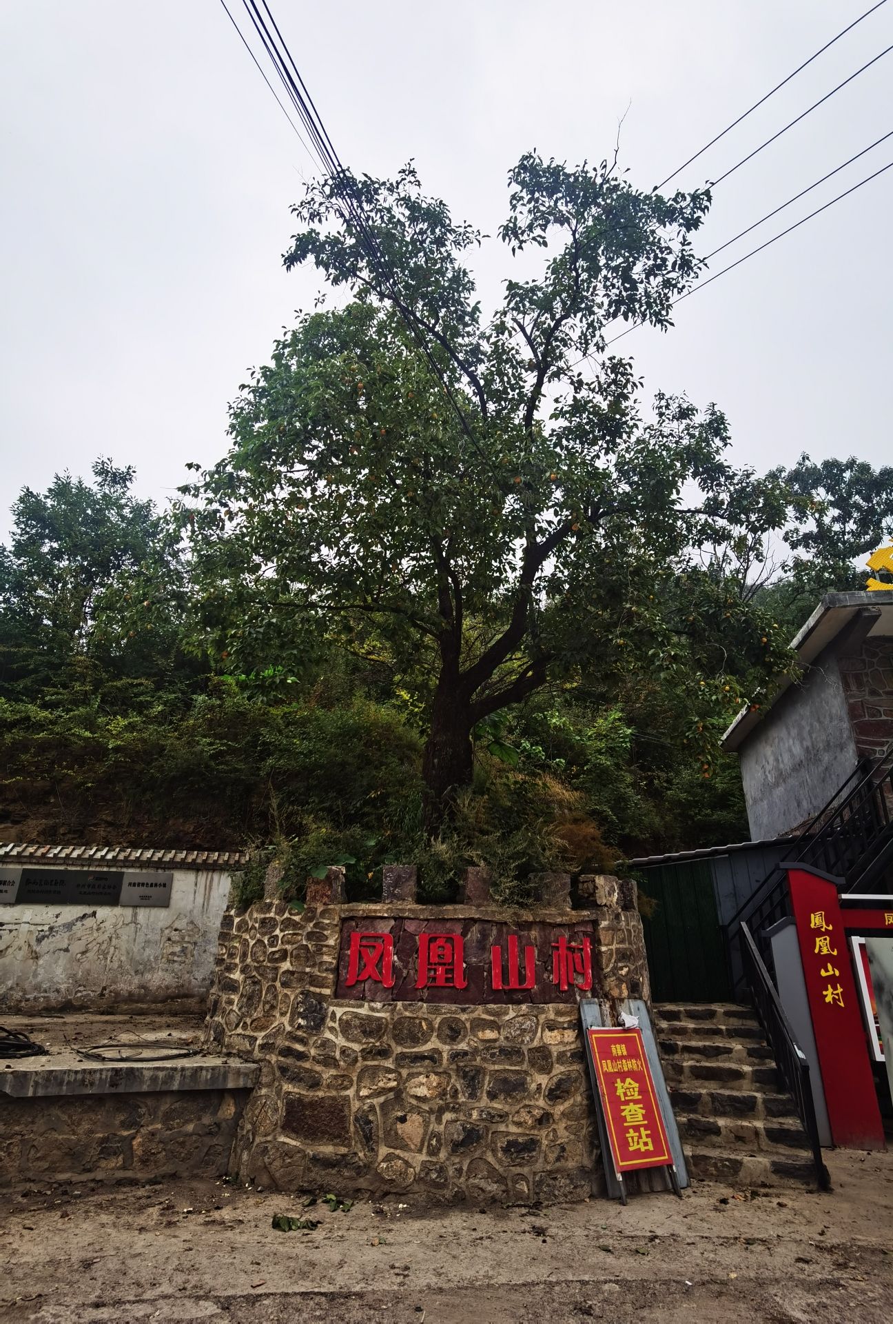 凤凰古寨旅行图片 2