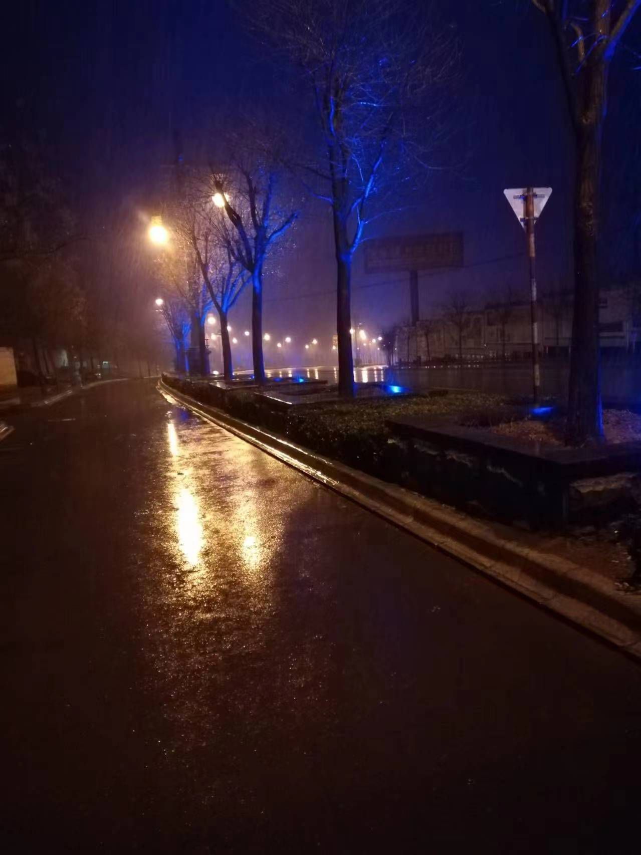 盐池006号路灯打卡点旅行图片 2
