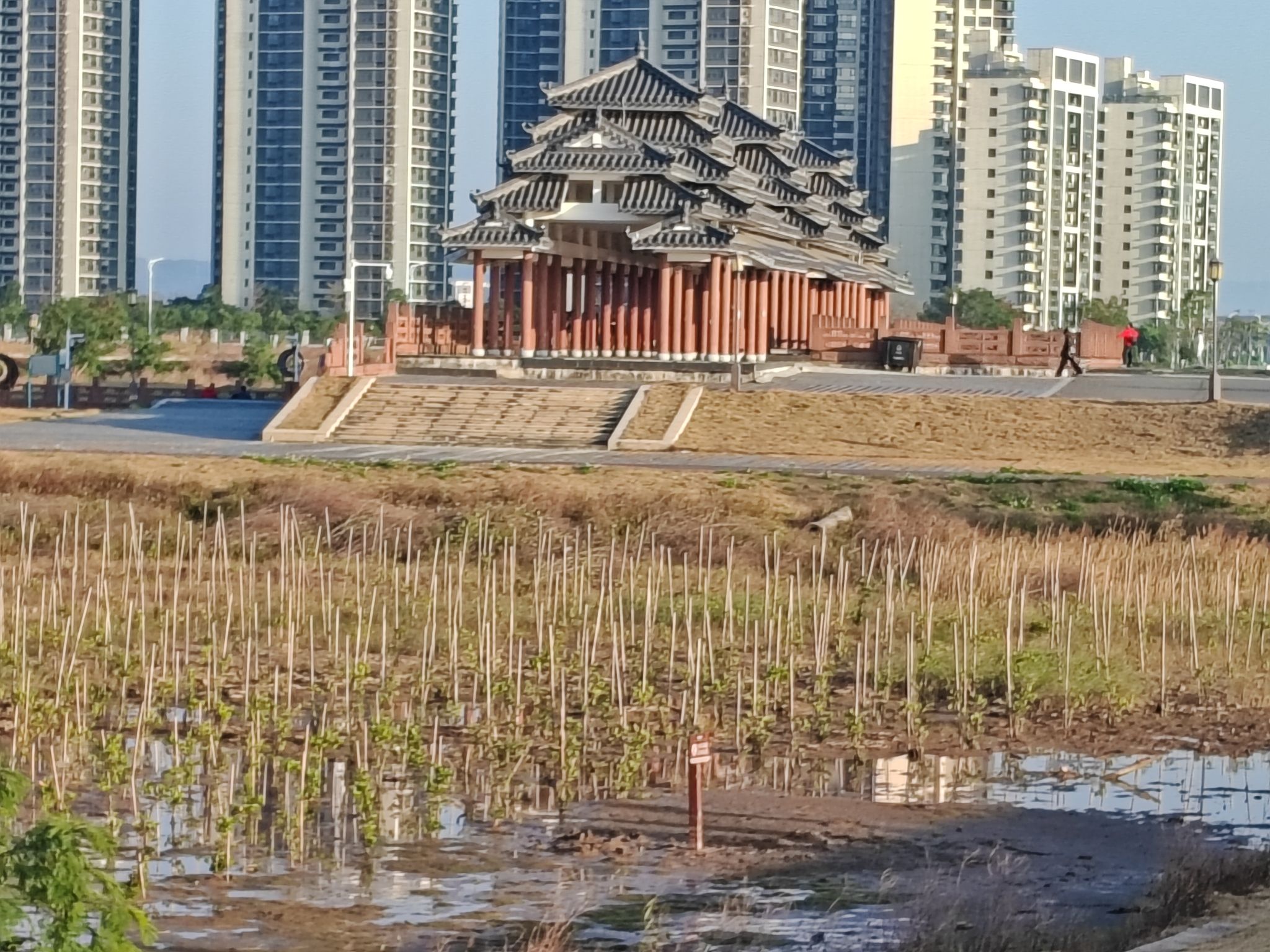 黄茅海跨海通道最佳观景点旅行图片 2
