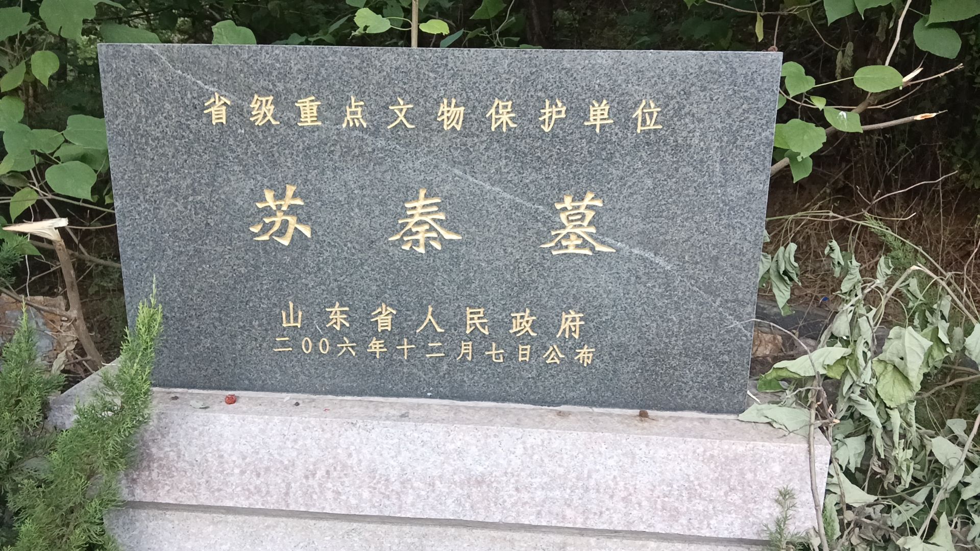 苏相墓旅行图片 3