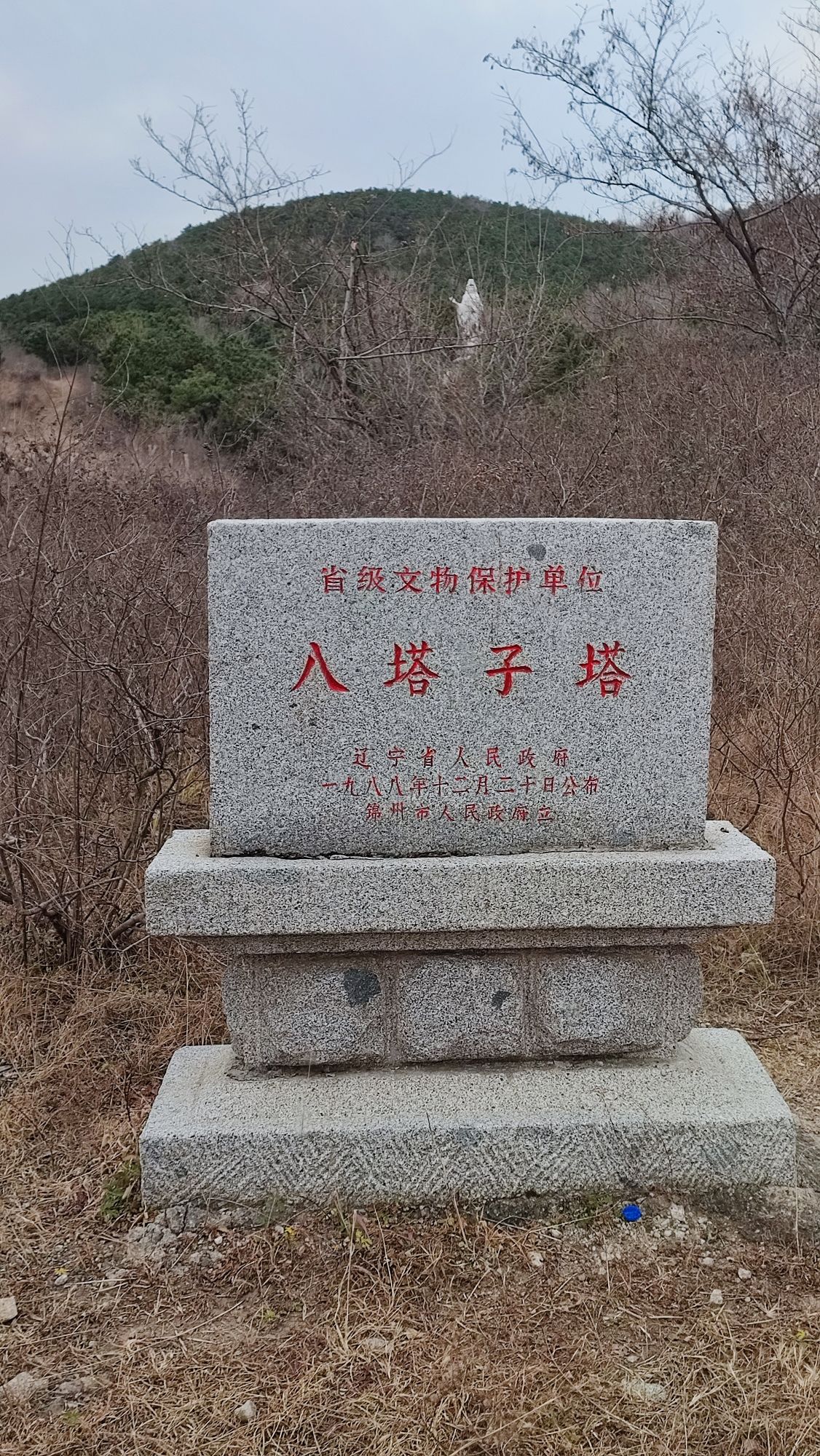 辽八塔旅游景区旅行图片 1