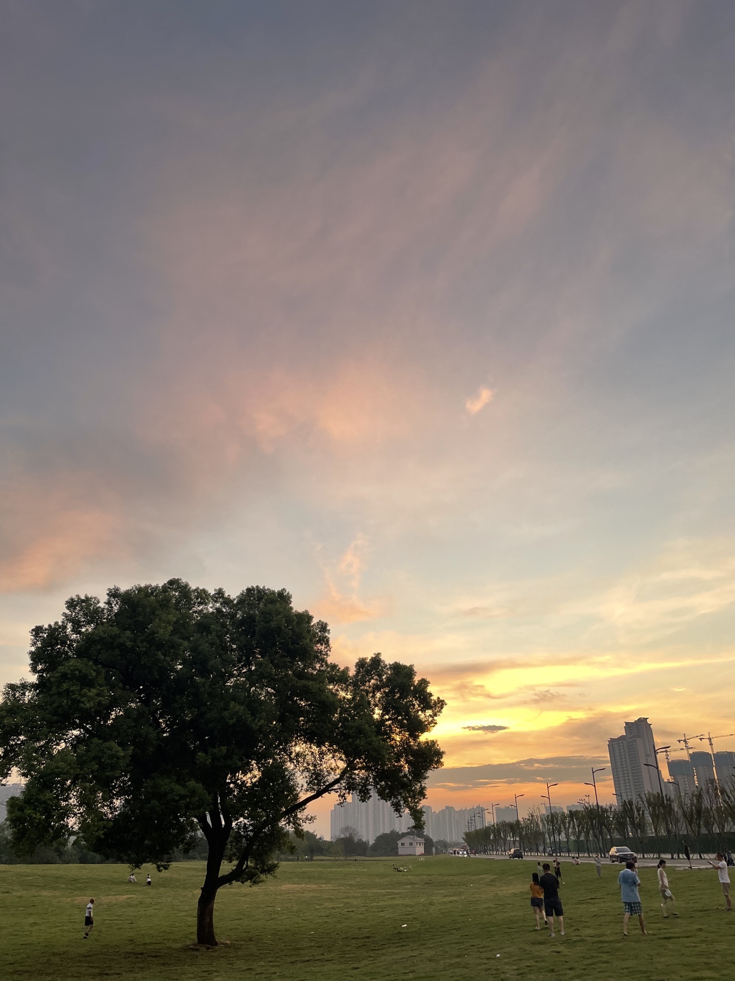 孤独的树旅行图片 2