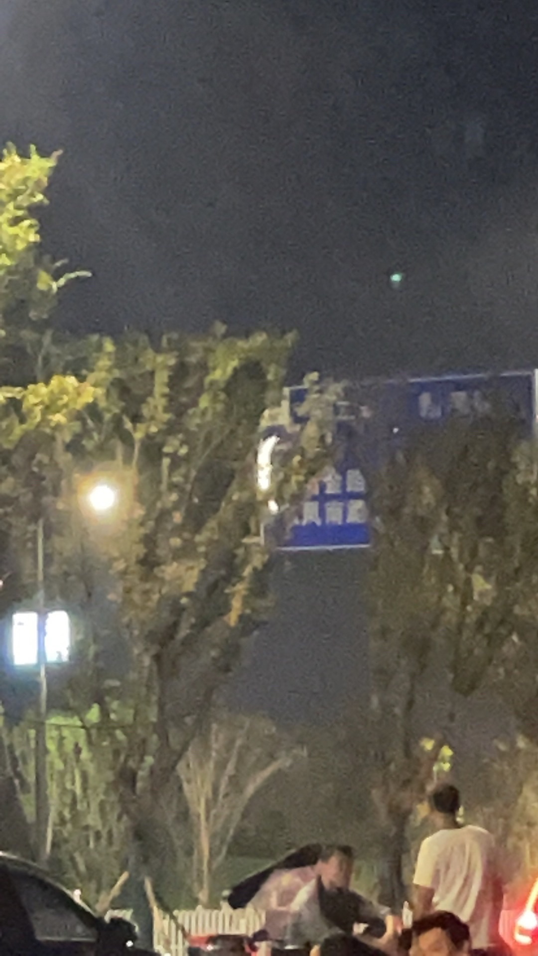孤独的树旅行图片 3