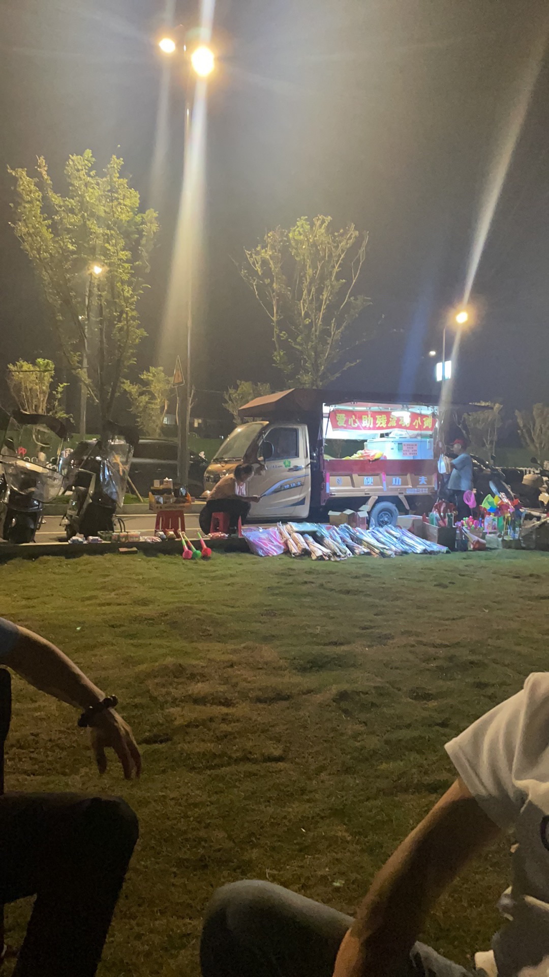 孤独的树旅行图片 2