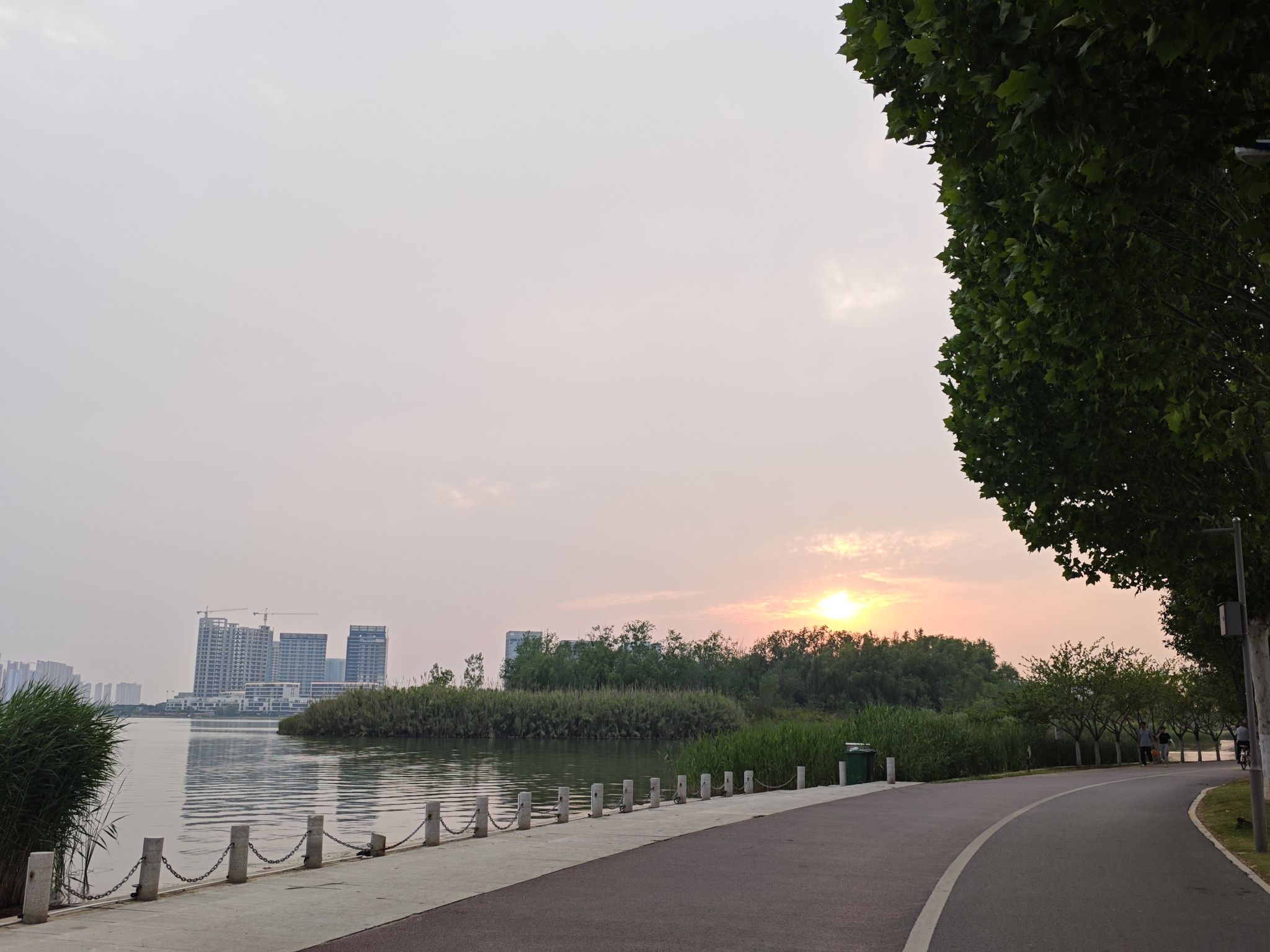 蝴蝶岛