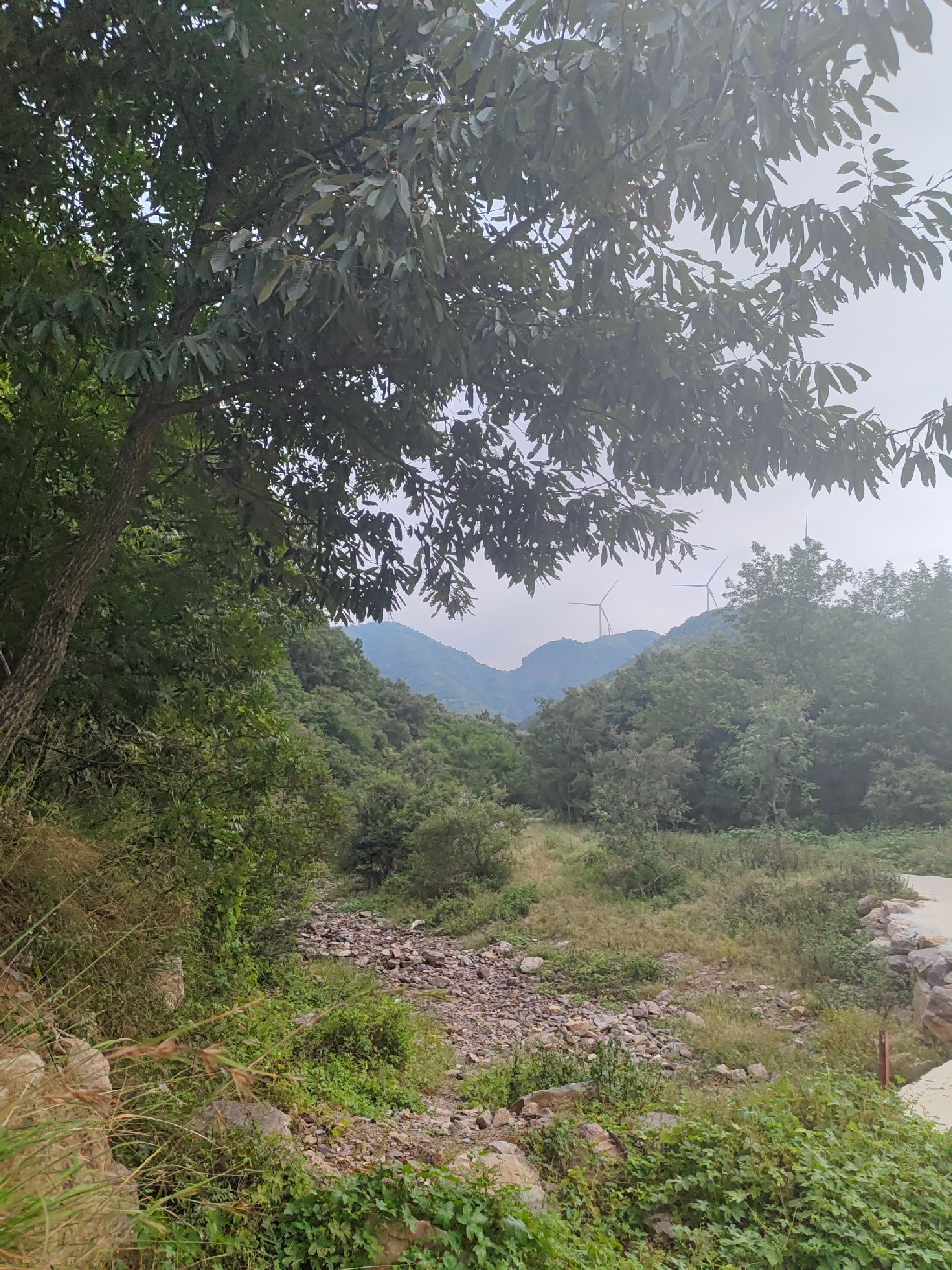 一线天旅行图片 2