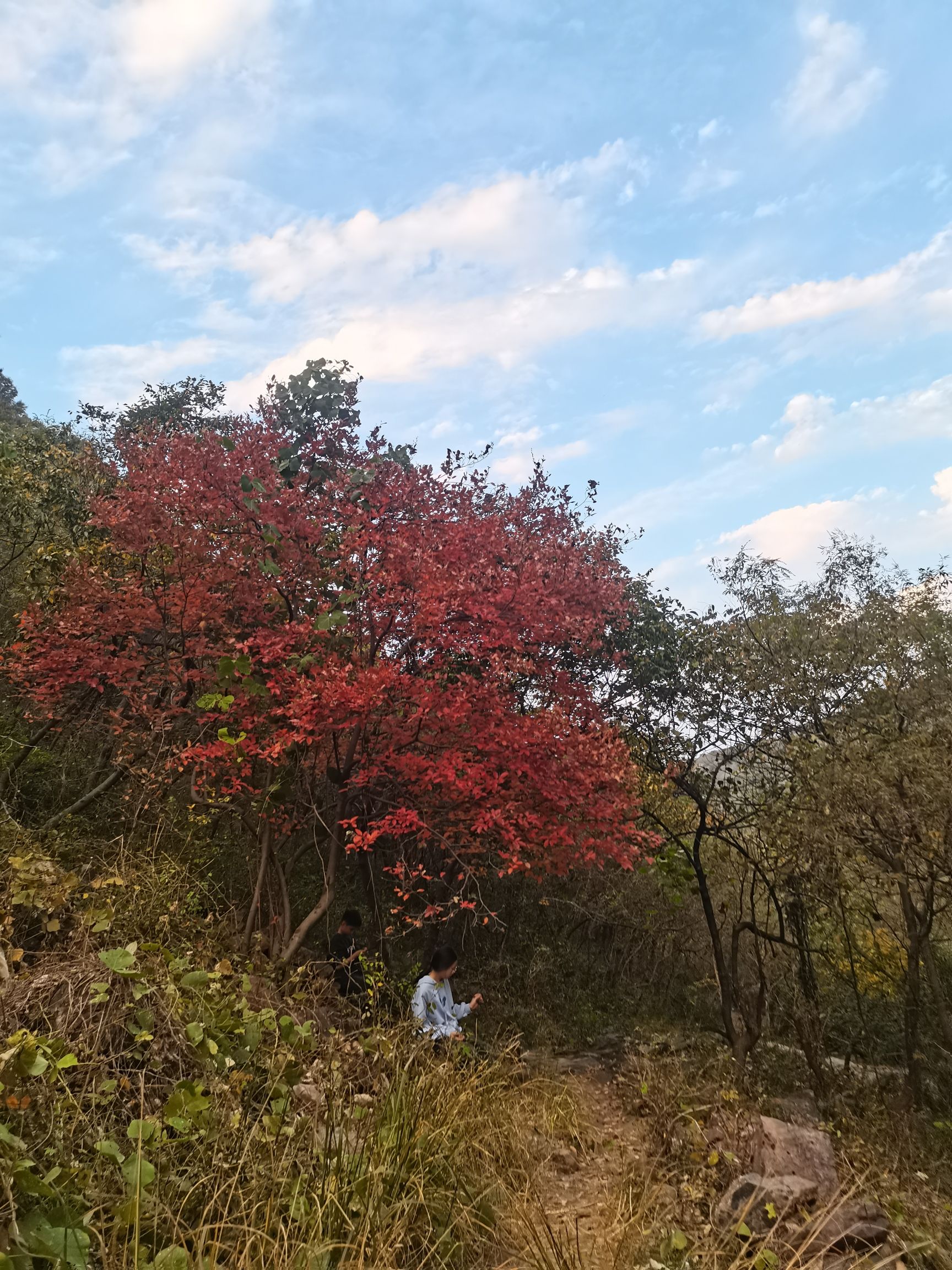 一线天旅行图片 1