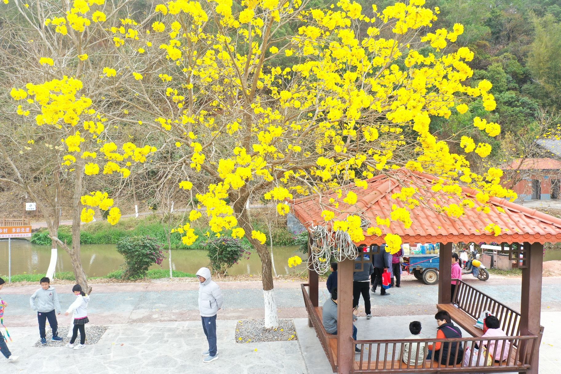 北逻法治文化主题公园旅行图片 3