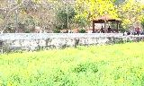 北逻法治文化主题公园旅行图片 2