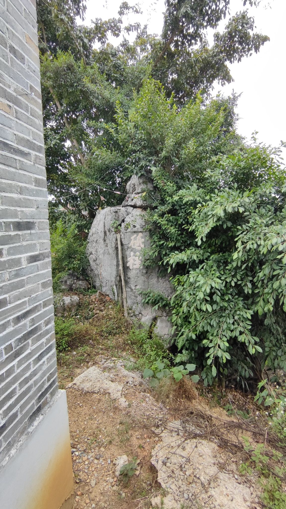 玉印山旅行图片 3