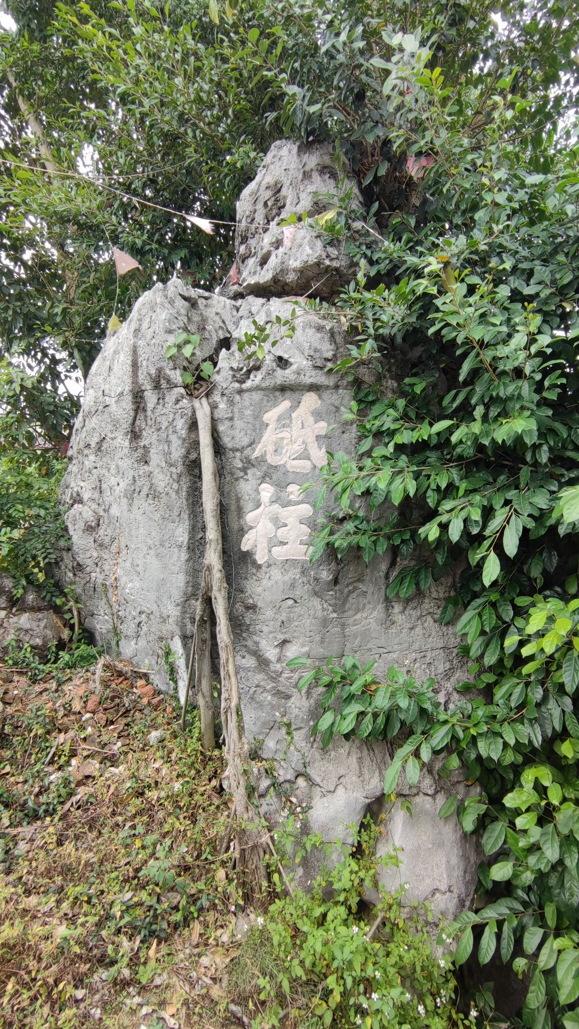 玉印山旅行图片 2