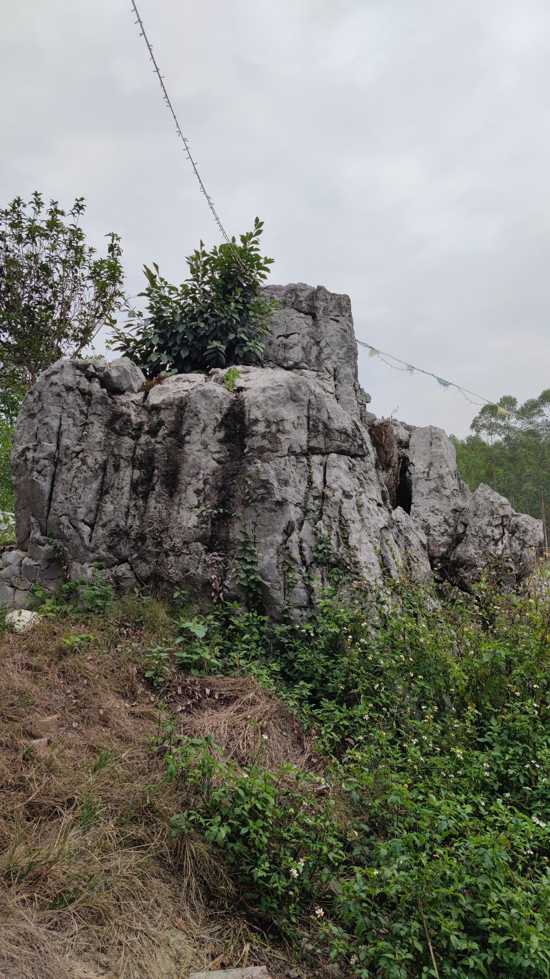 玉印山旅行图片 1