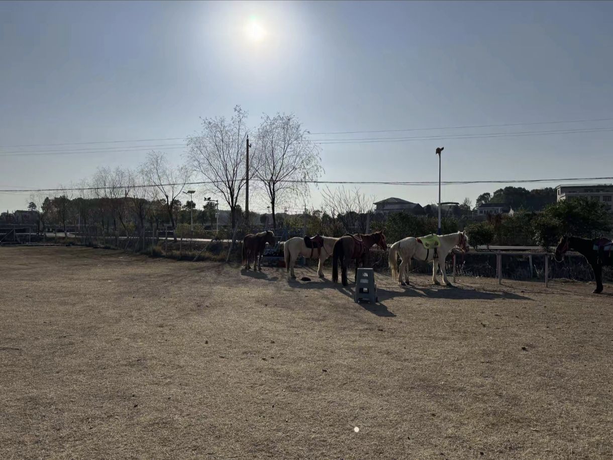 山水莲花景区马场旅行图片 2