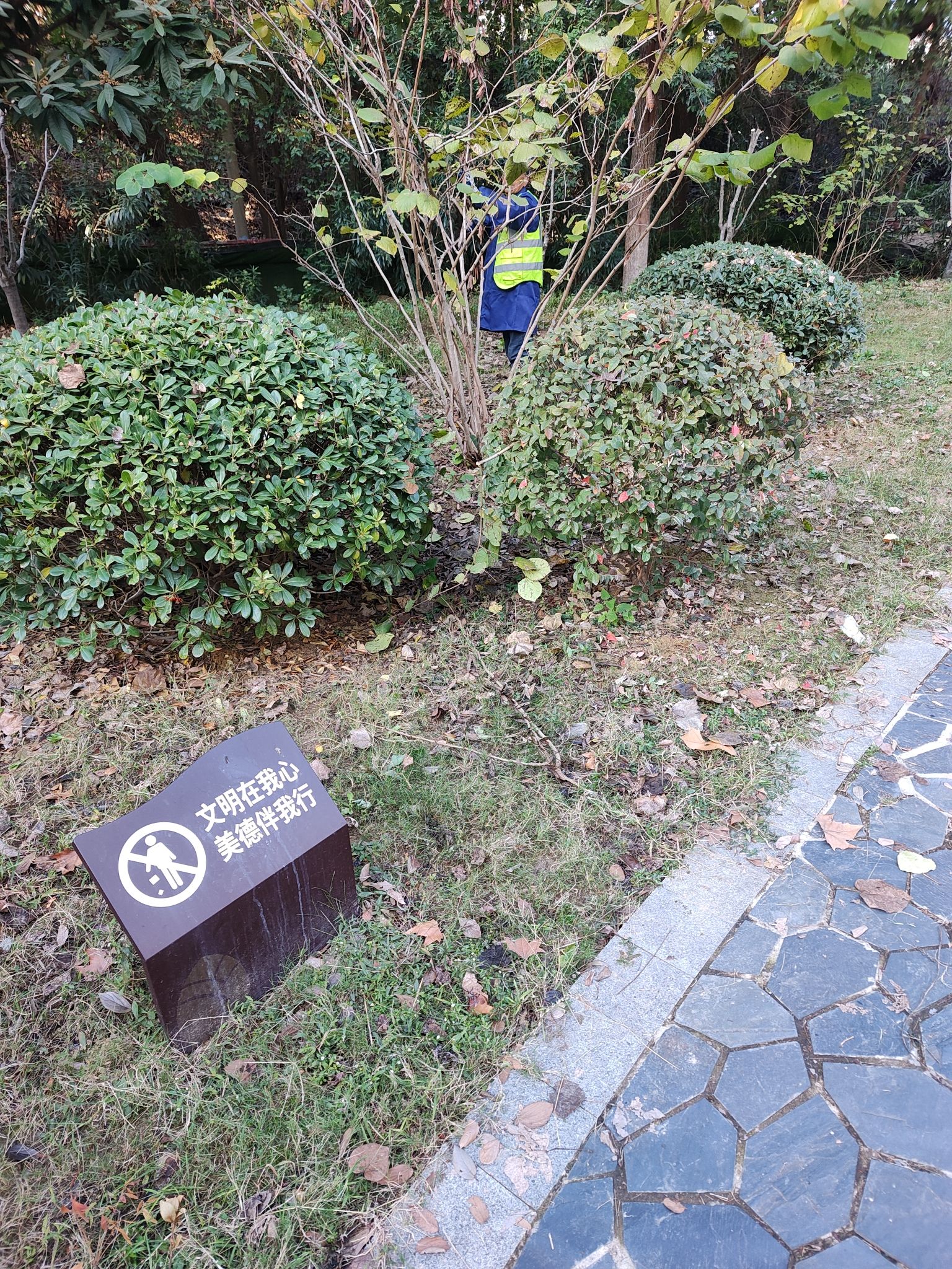 小黄鹤楼口袋公园旅行图片 3
