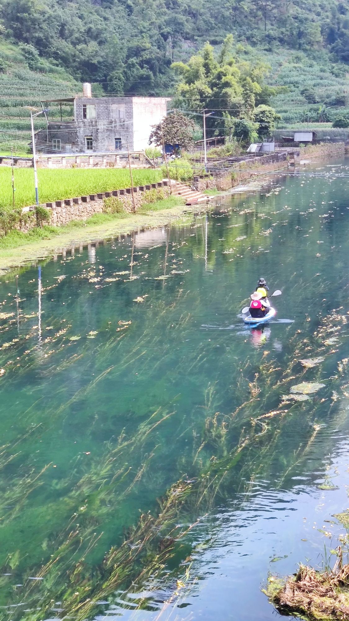 上力河畔码头旅行图片 2