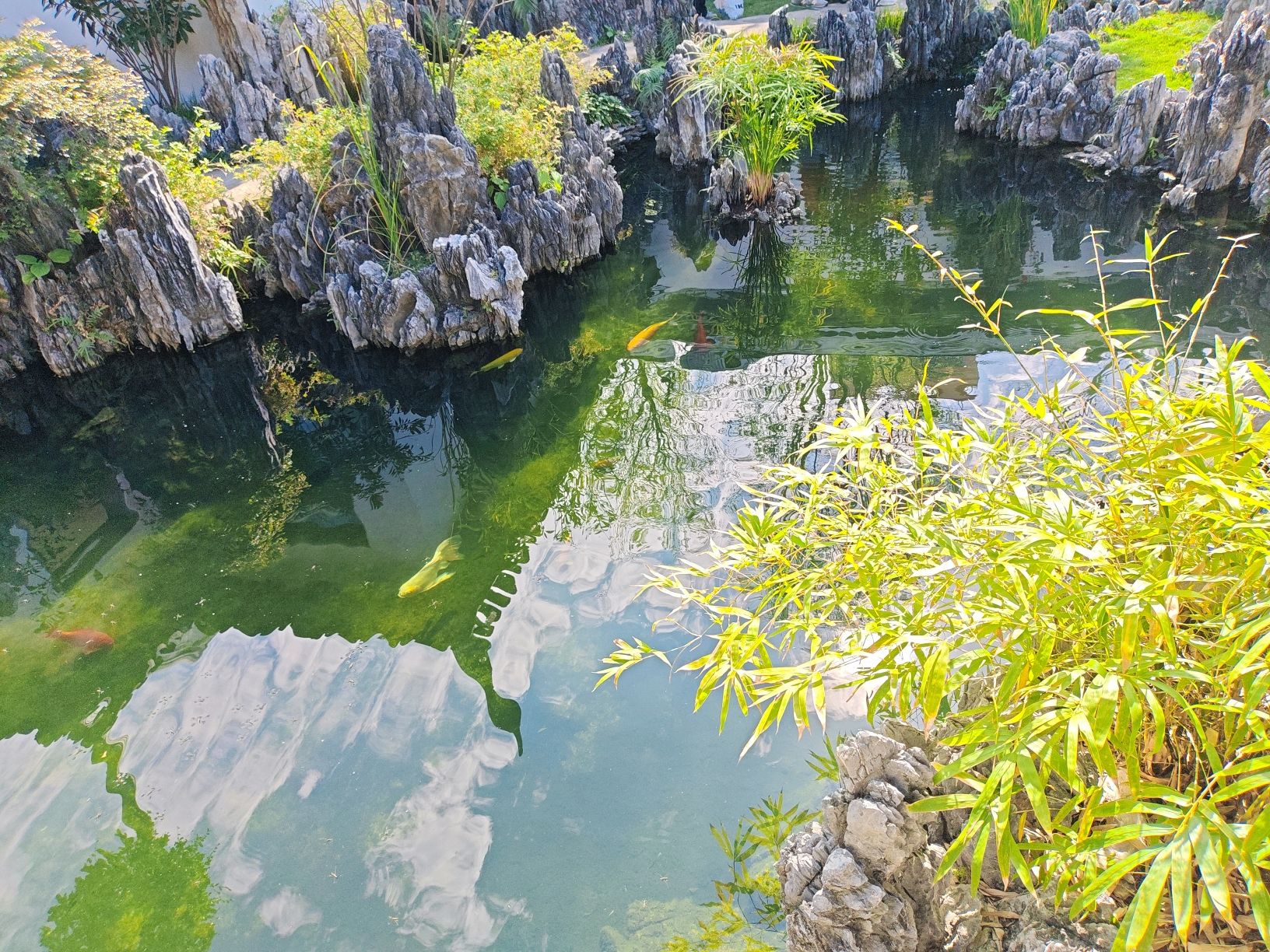 吾园旅行图片 3