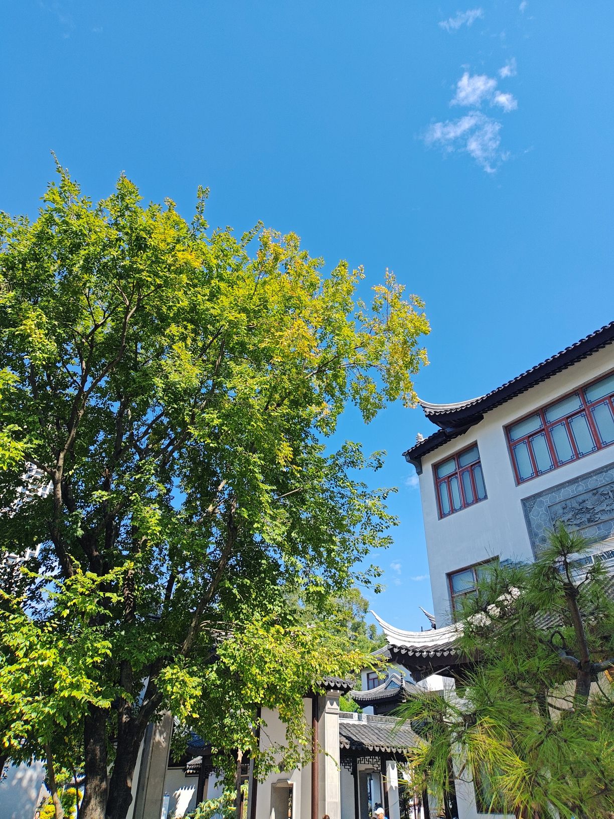 吾园旅行图片 2