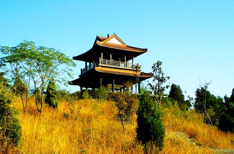 舜耕山花卉小镇旅行图片 2