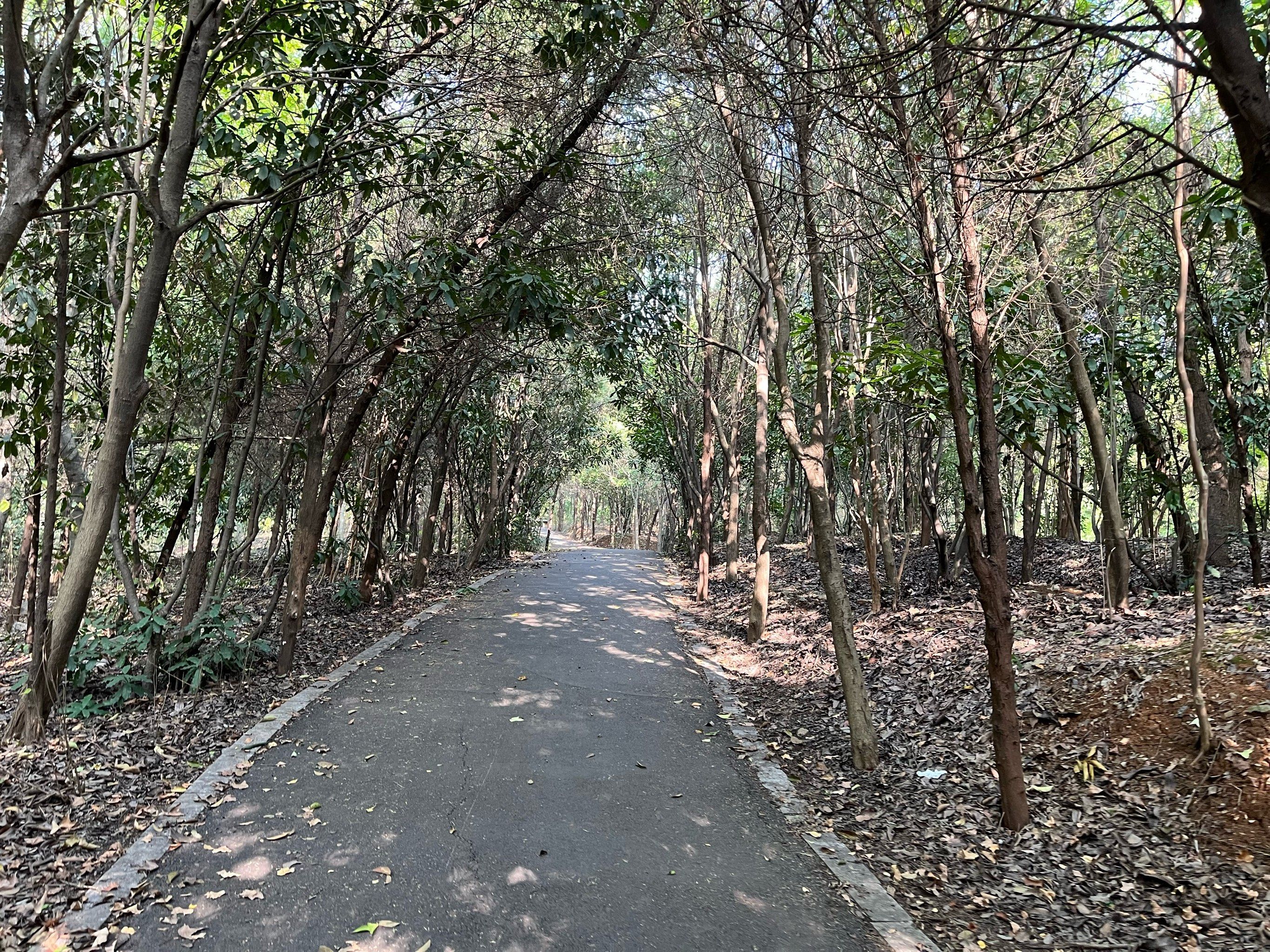 舜耕山花卉小镇旅行图片 1