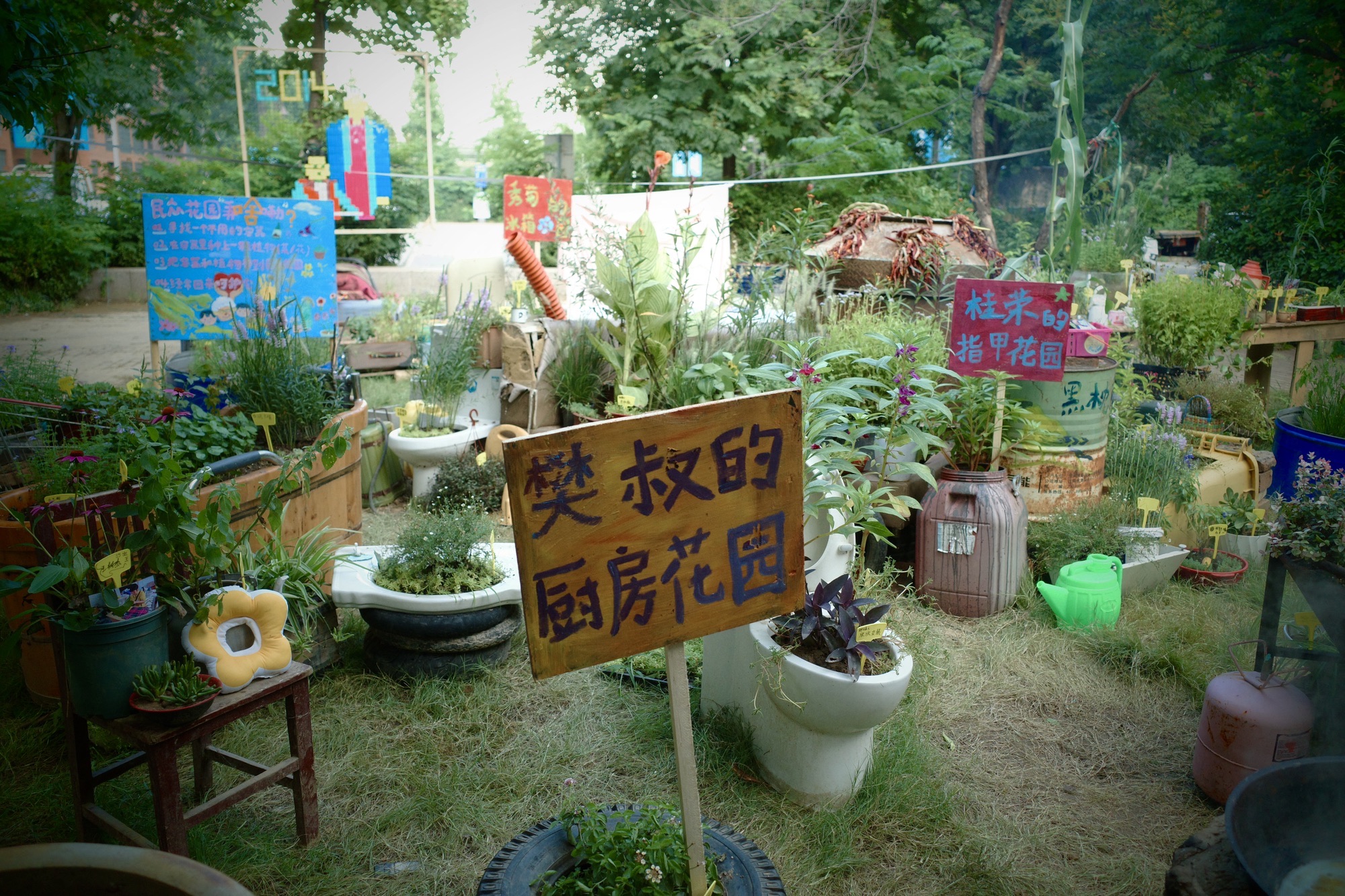 大孟社区民众花园旅行图片 3