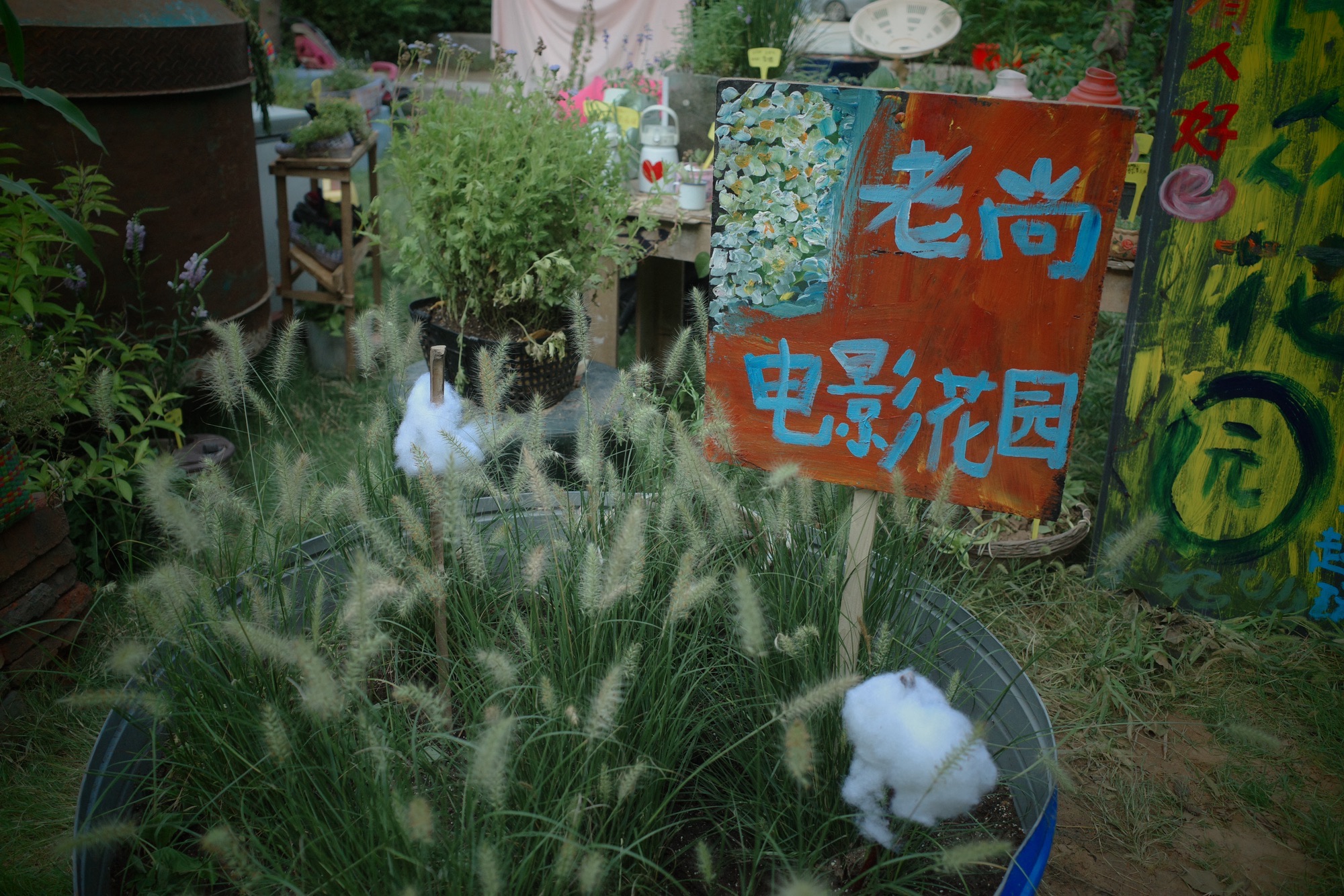 大孟社区民众花园旅行图片 2