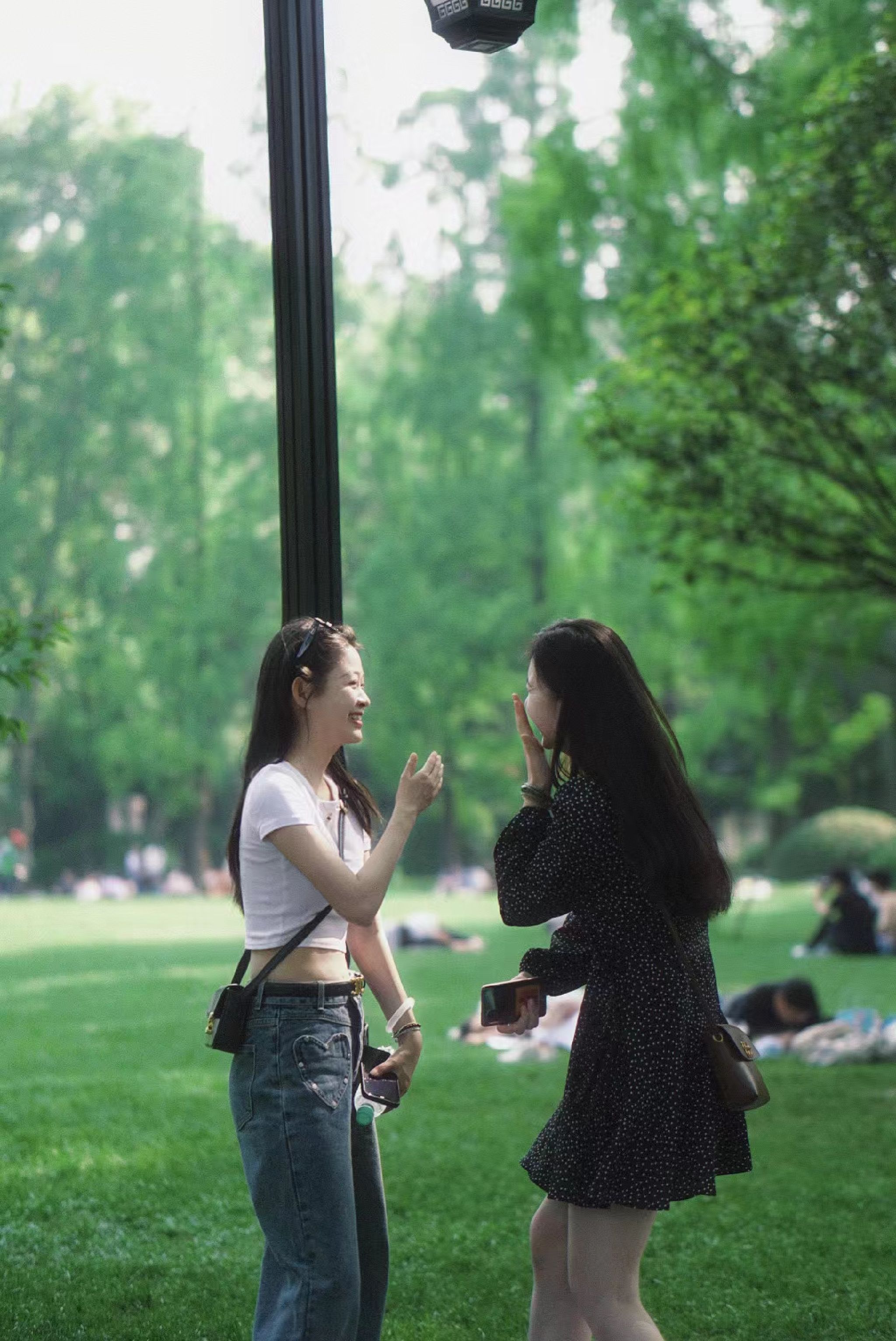 大棵庄美丽乡村公园旅行图片 1